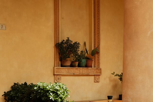 Plants and benches sit in an architectural interior.
