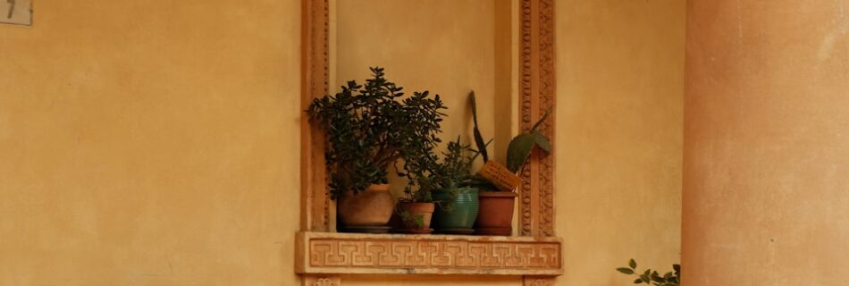 Plants and benches sit in an architectural interior.