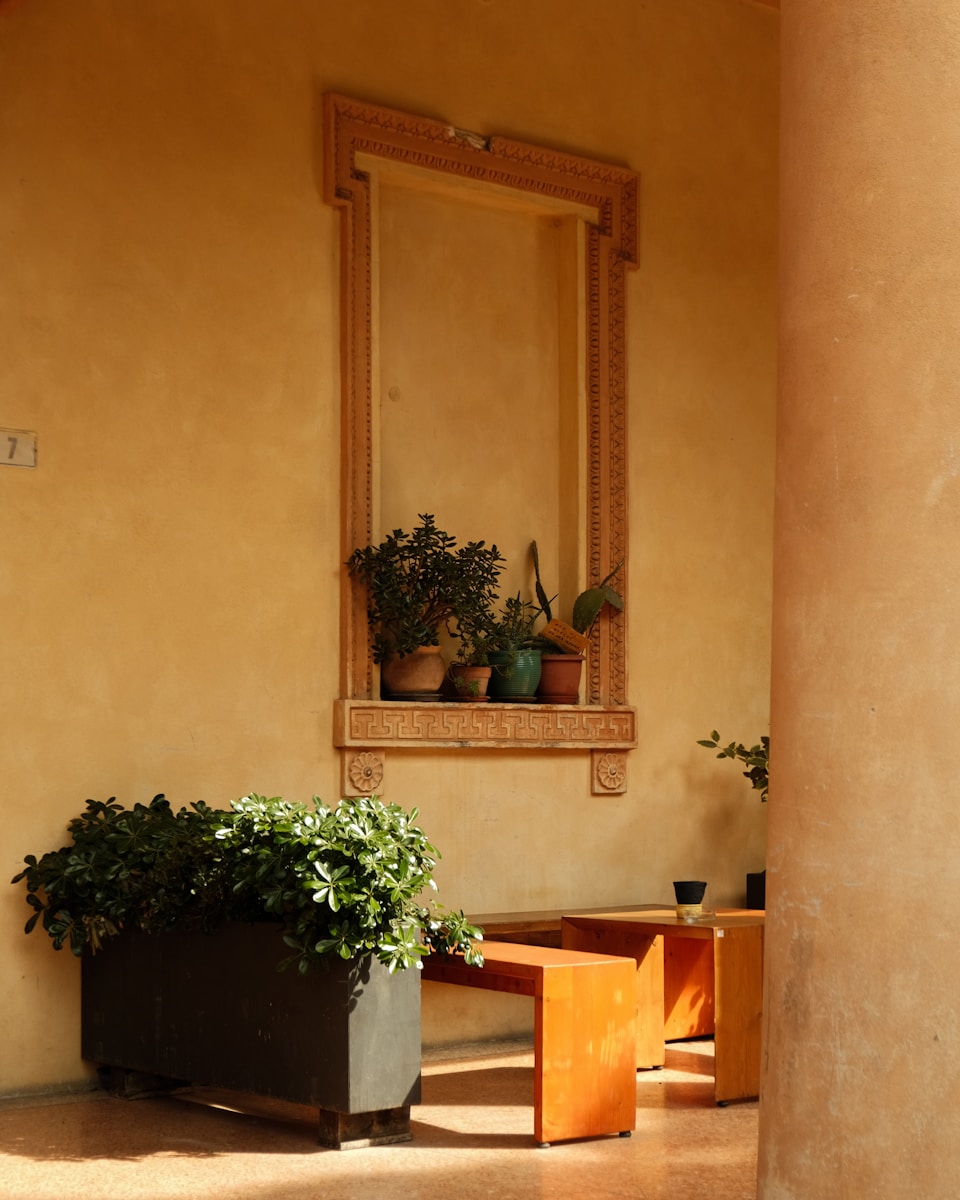 Plants and benches sit in an architectural interior.